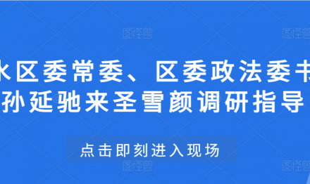 三水區(qū)委常委、區(qū)委政法委書記孫延馳來(lái)圣雪顏調(diào)研指導(dǎo)